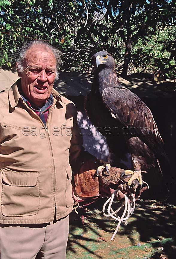Morley Nelson with Golden Eagle