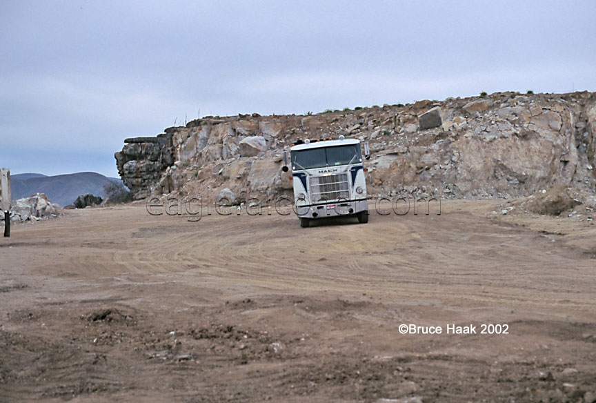 Eagles nest in working quarry