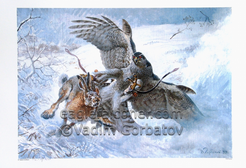 Vadim Gorbatov Old Goshawk Hunting