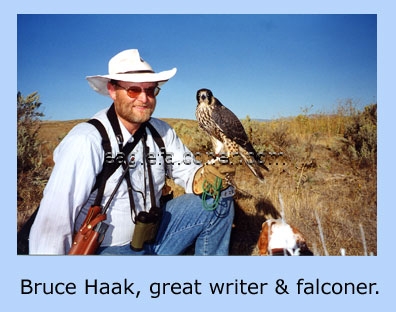 Bruce Haak, USA Falconer