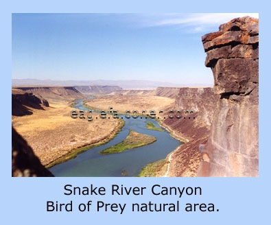 Snake River Canyon Bird of Prey Natural Area
