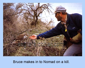 Falconer, Bruce Haak and Prairie Falcon