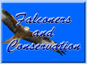 Falconry conservation