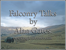 Falconry Talks by Alan Gates