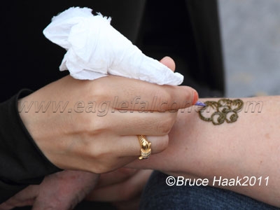 Henna Falconry Festval