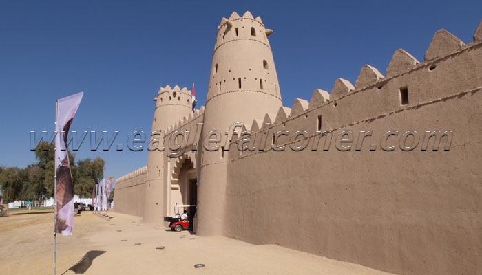 Jahili Fort Festival of Falconry