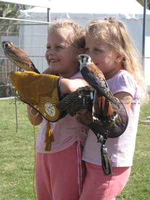 Young falconers  Falconry Festival 