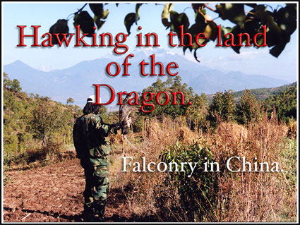 Falconry Talk, Hawking in the land of the Dragon