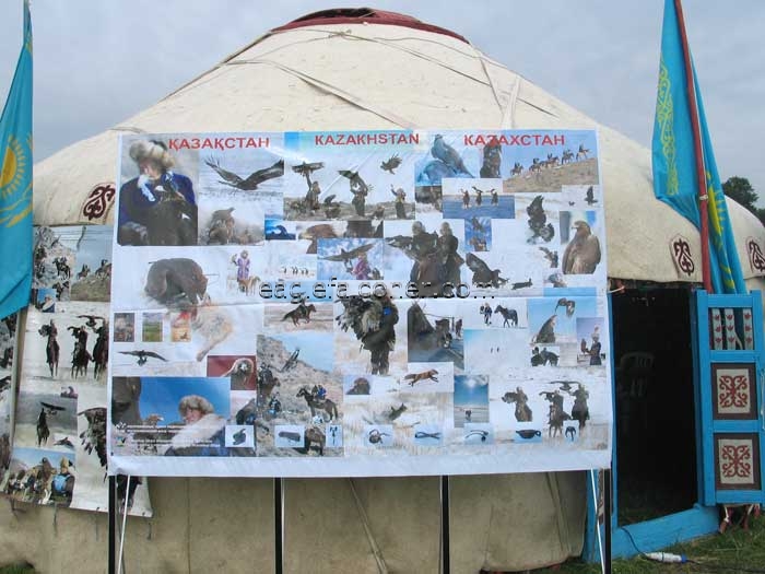 Kazakh yurt eagle falconry