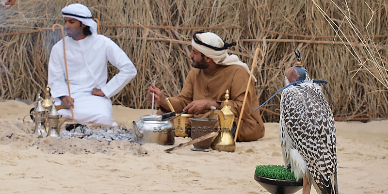 Arab village, Festival of Falconry