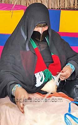 Arab Village, Festival of Falconry