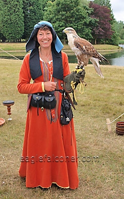 Jersey at the  Festival of Falconry