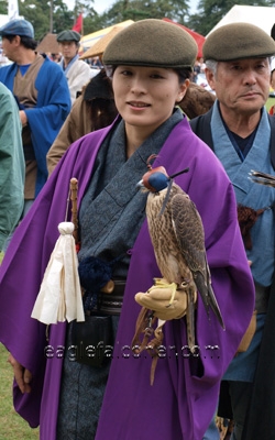 Japanese falconers at the  Festival of Falconry