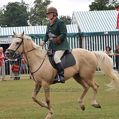 Nick Fox,  Festival of Falconry