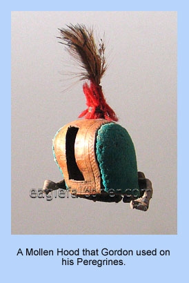 Mollen falconry hood