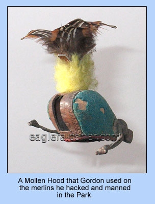 Mollen Merlin falconry hood