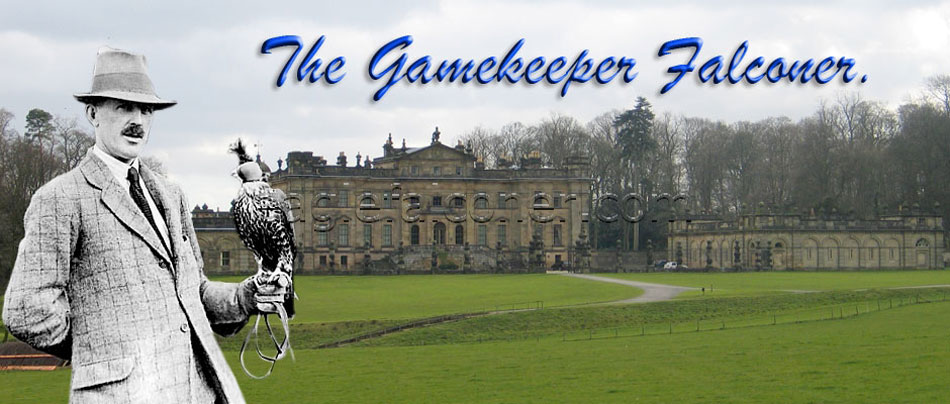 Adam Gordon, Gamekeeper and Falconer