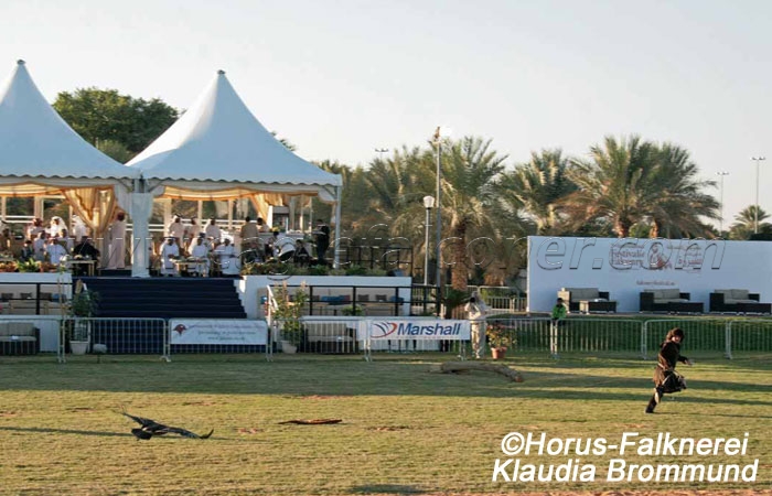 Third Festival of Falconry Al Ain