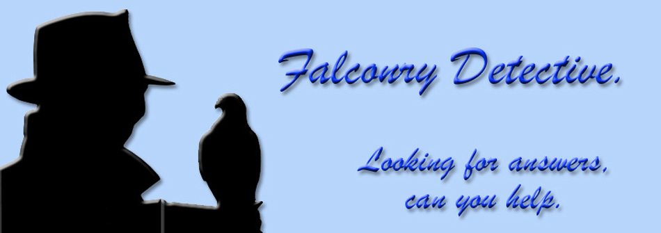 Falconer Dectective