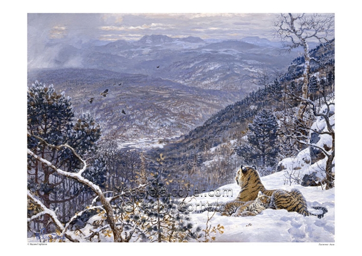 Siberian Tiger at Sikhote-Alin
