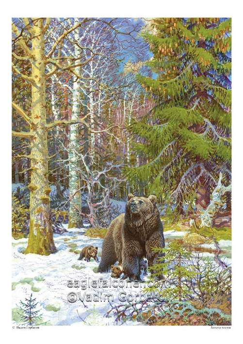 Bear and cubs in Spring