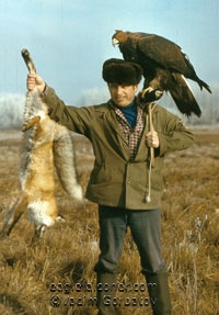 Russian artist, eagle falconer, Vadim Gorbatov