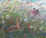 Quails-Vadim Gorbatov